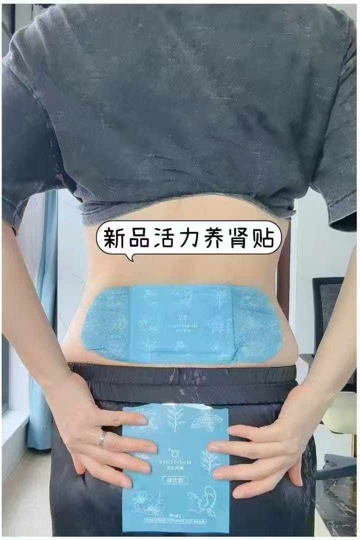 Kidney Patch
